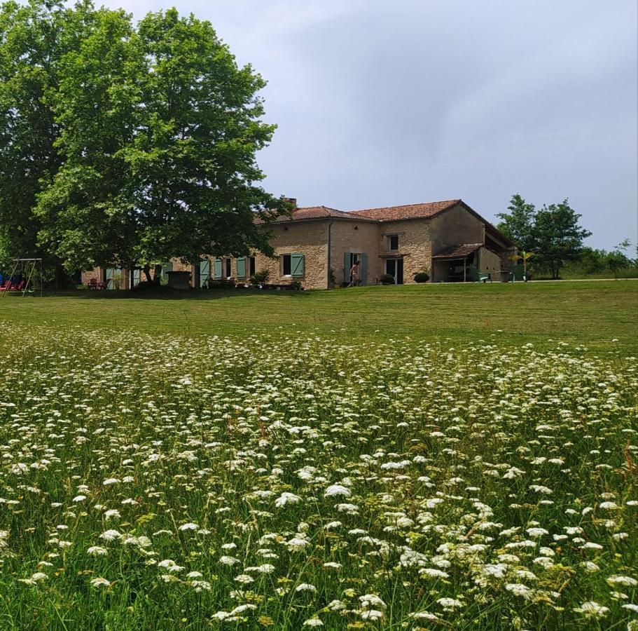 Le Haut Séchoir Buzet-sur-Baise Esterno foto